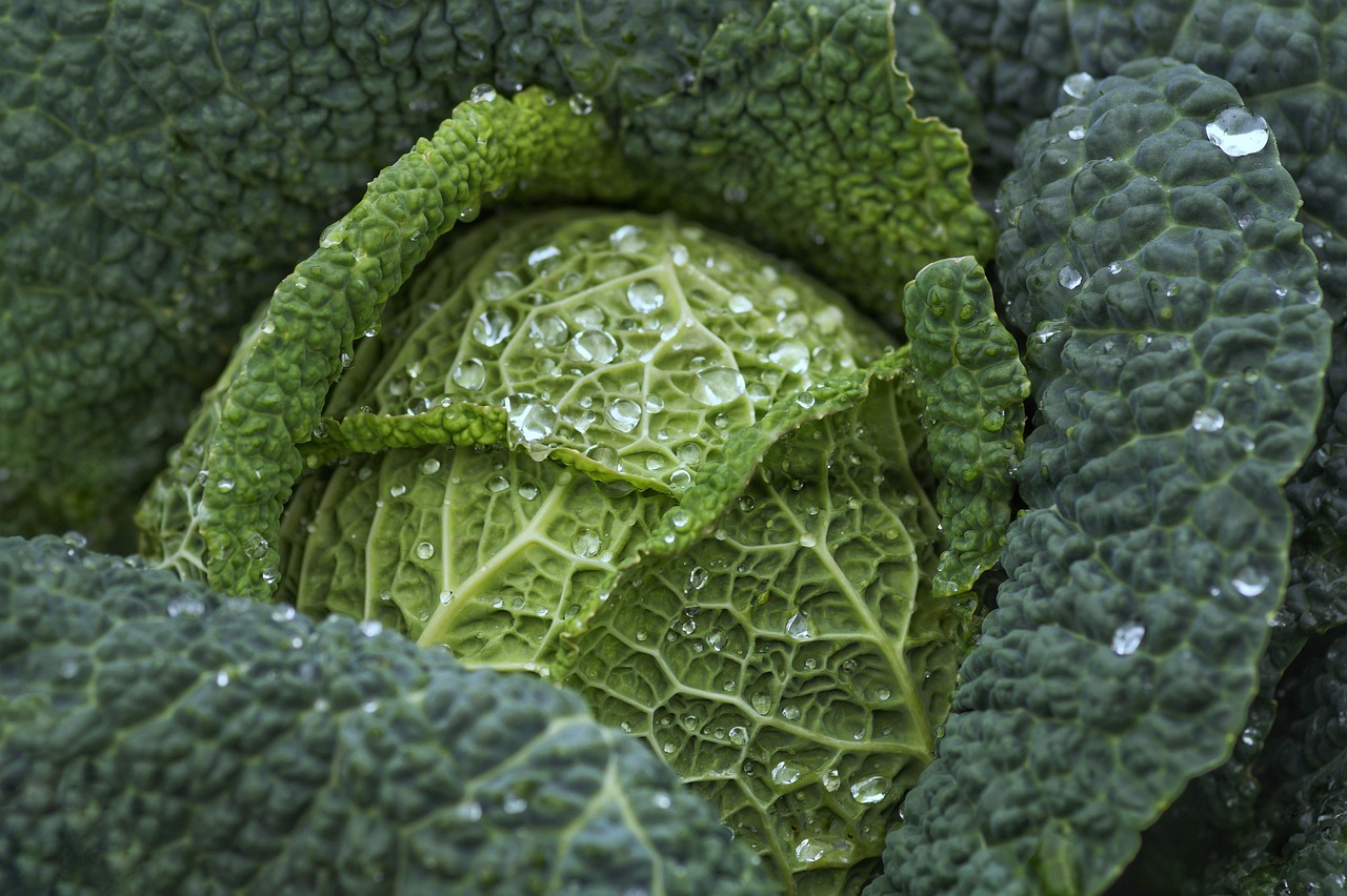 野菜不足が引き起こす便秘の原因とは？