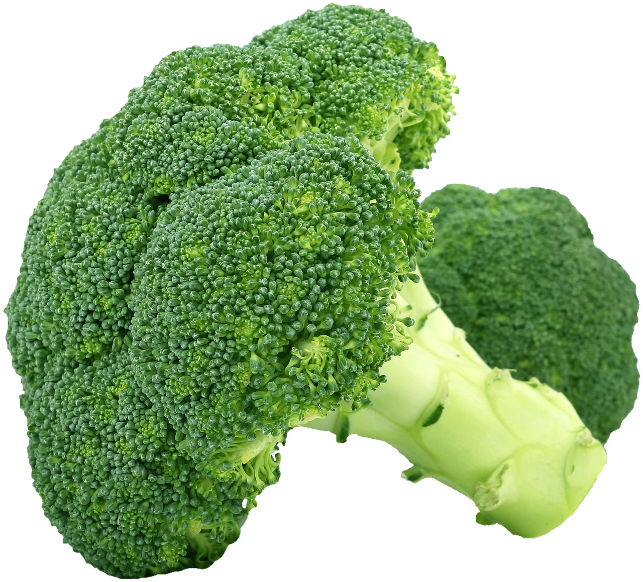 野菜嫌いでも安心！おすすめのサプリは？