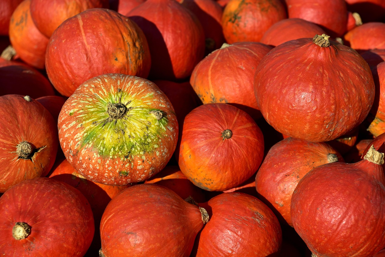 料理下手のあなたが野菜不足を解消するための簡単レシピは？