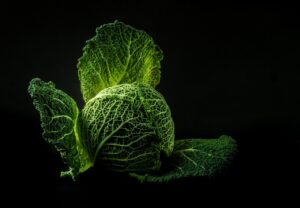 日本人の野菜不足が平均的にどのくらい深刻なのか？