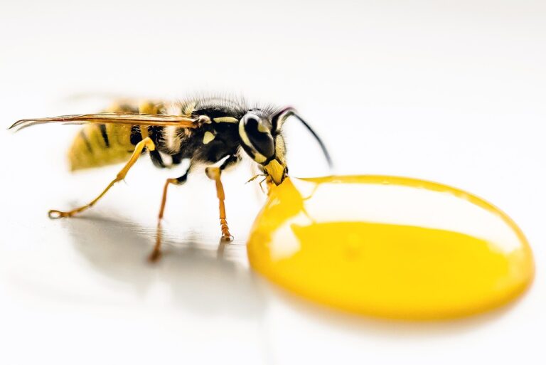 青汁の効果はいつから実感できるのか？