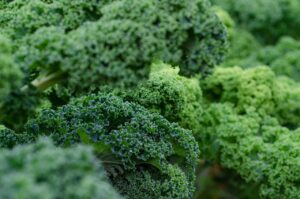 40代働く女性におすすめの野菜不足解消の青汁ケールの選び方は？