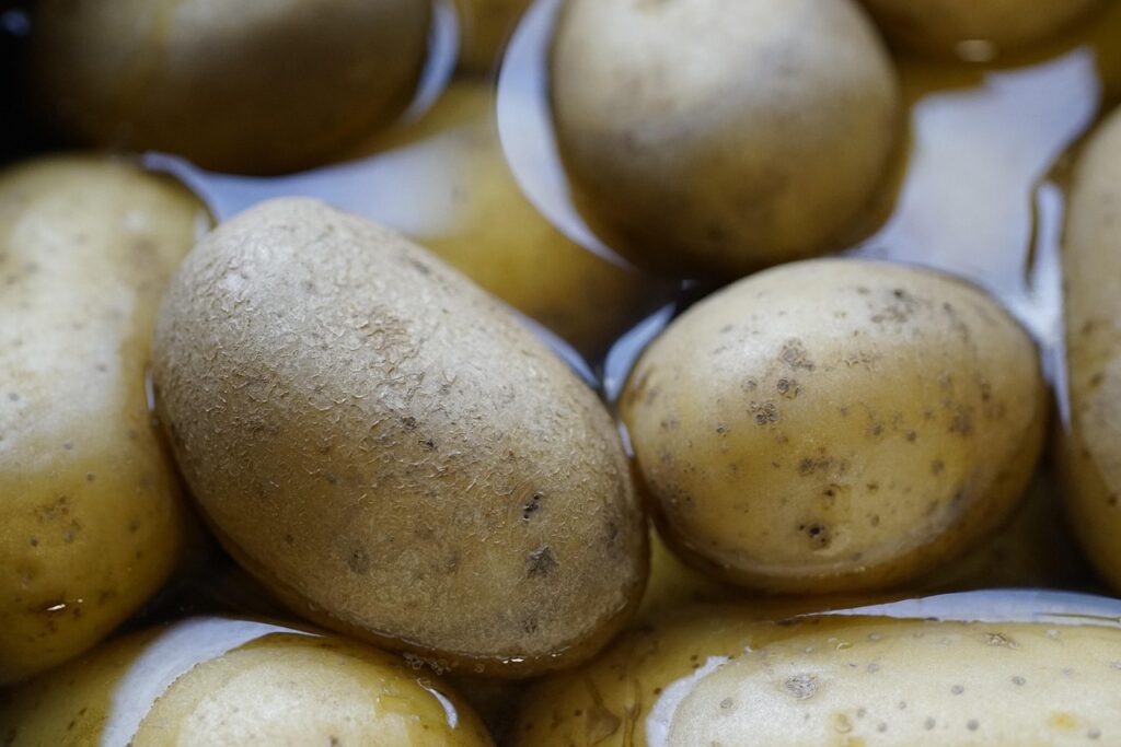 忙しい40代女性が選ぶべきオーガニック青汁の野菜不足解消法は？