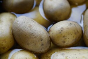 忙しい40代女性が選ぶべきオーガニック青汁の野菜不足解消法は？
