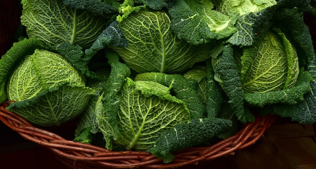 野菜不足が原因で青汁を飲むと下痢になるのはなぜ？